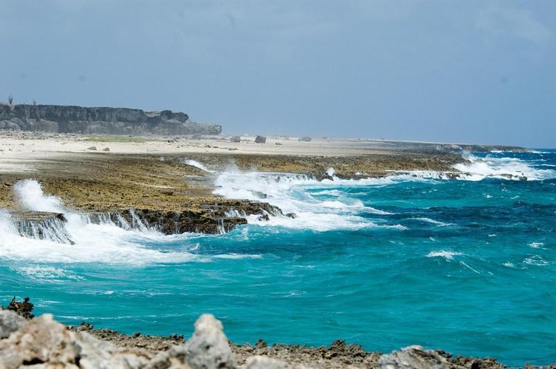 Woodz Bonaire Leilighet Playa Eksteriør bilde